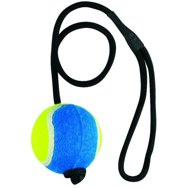 tenisová lopta tatrapet na šnúrke-